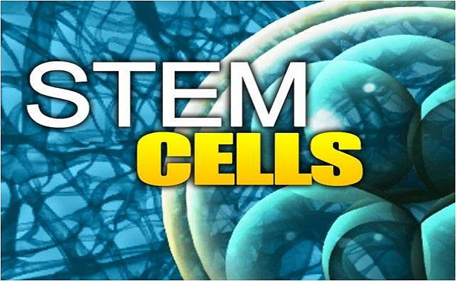 Stem Cell Treatment Los Angeles